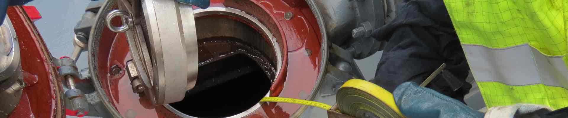 cargo-survey-service