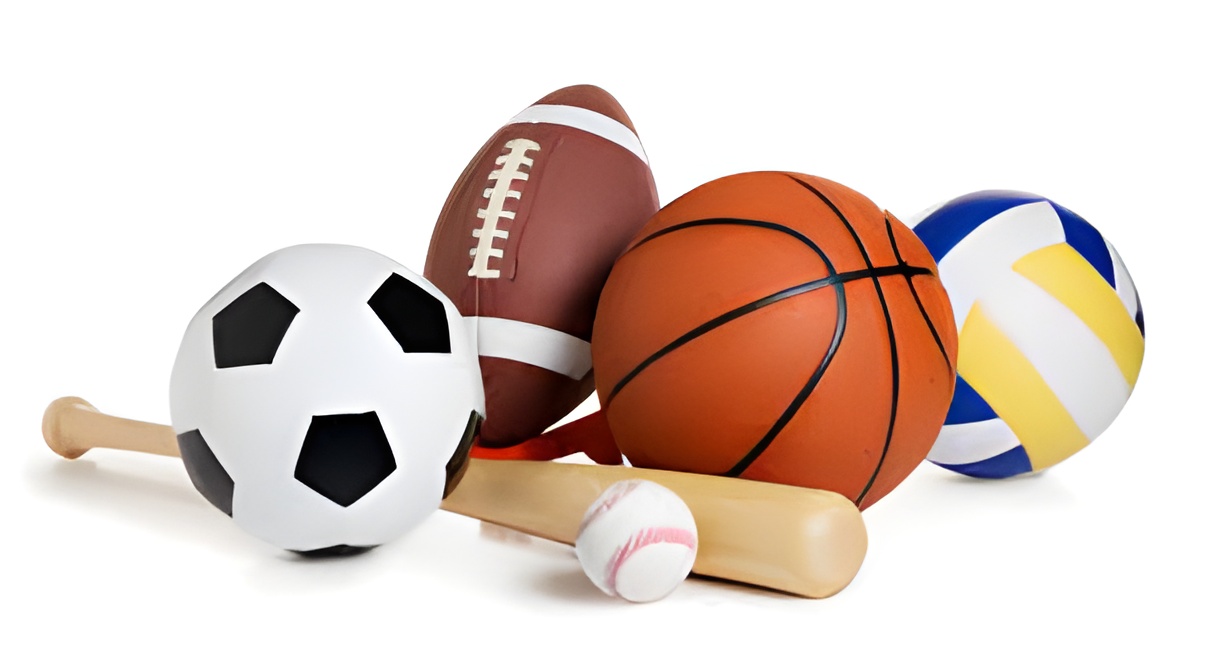 Sport Items Quality Inspection Service