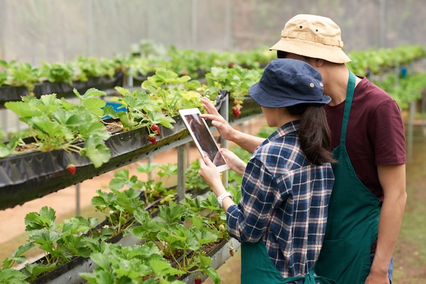 agricultural - factory audit