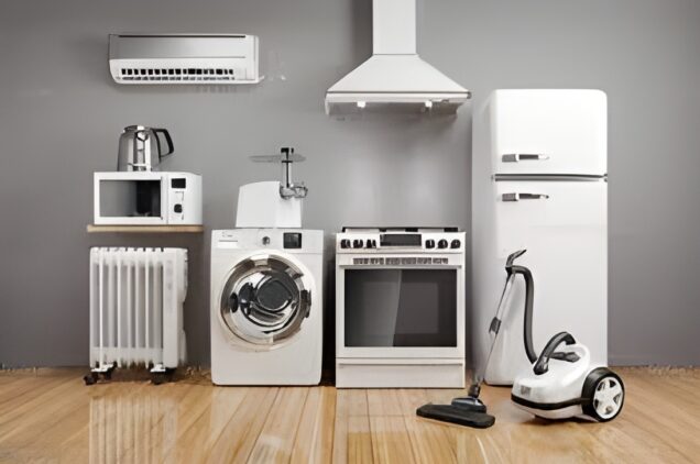 Electrical Appliance Product Quality Check Service